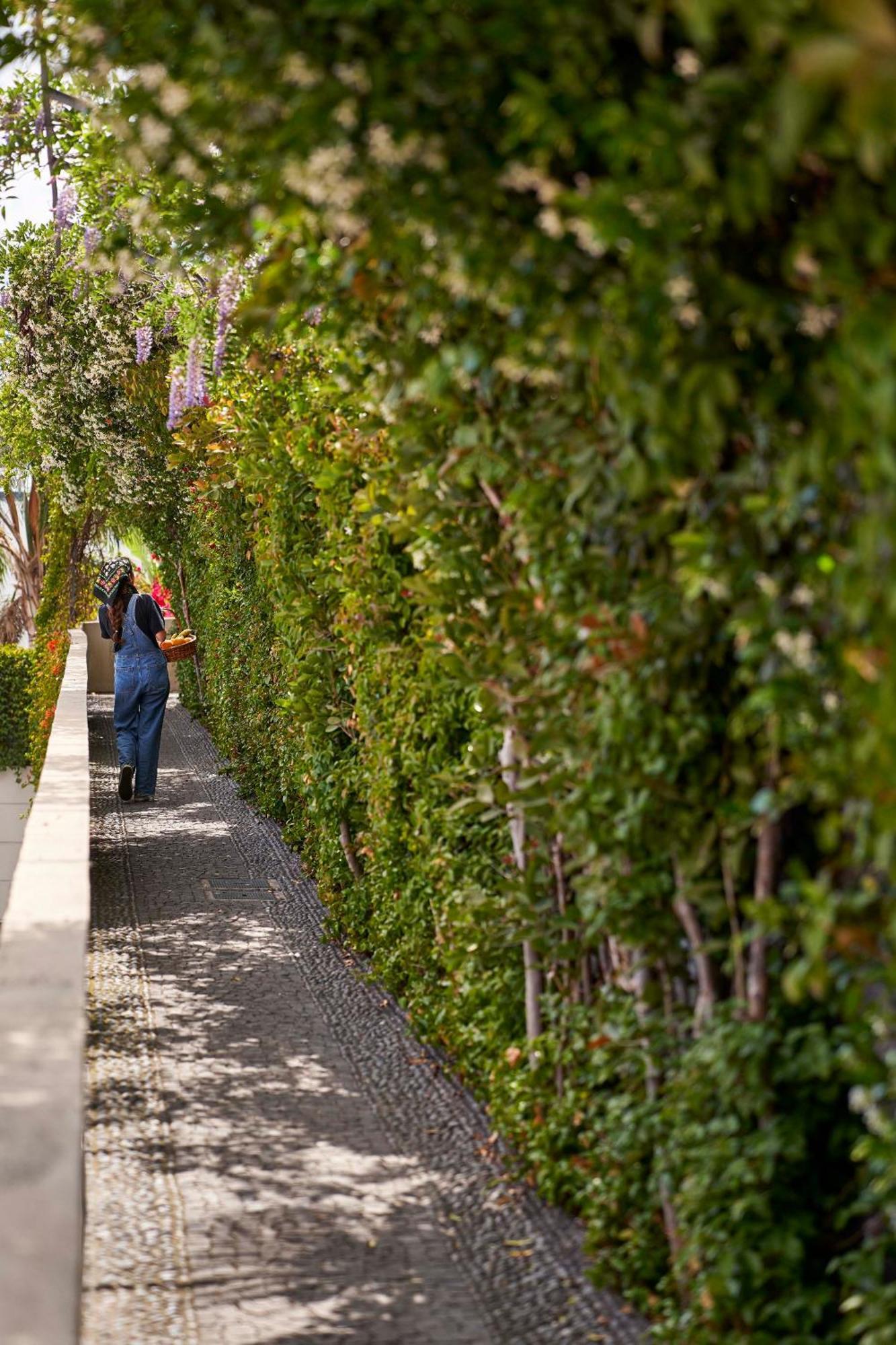 Bordal Houses Funchal  Exterior foto